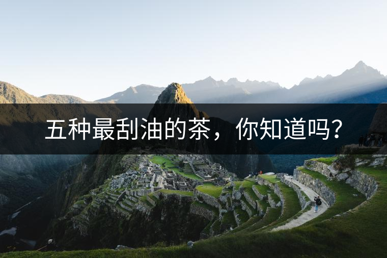 五種最刮油的茶，你知道嗎？