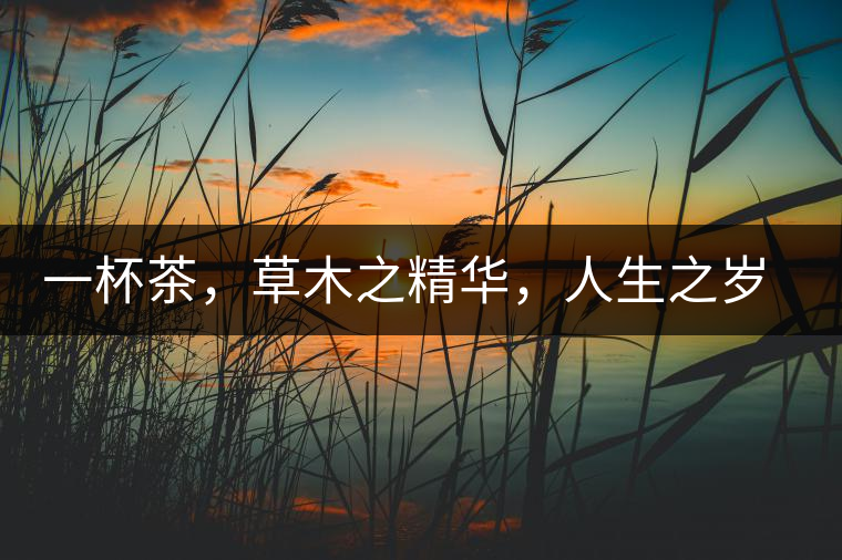 一杯茶，草木之精華，人生之歲月