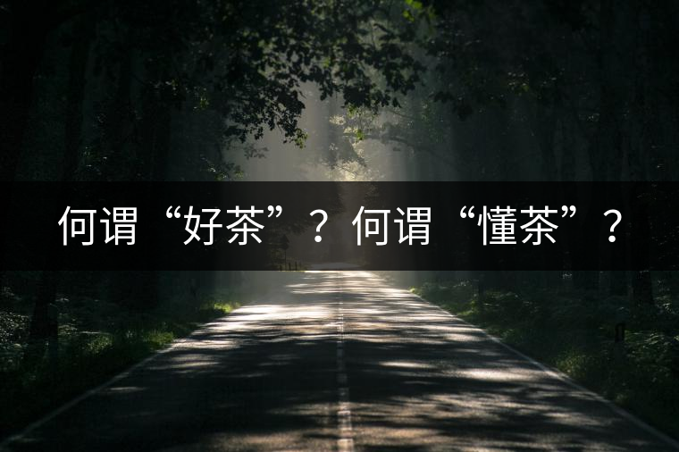 何謂“好茶”？何謂“懂茶”？