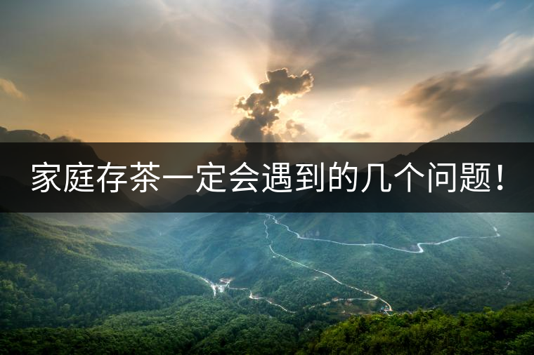 家庭存茶一定會(huì)遇到的幾個(gè)問(wèn)題！