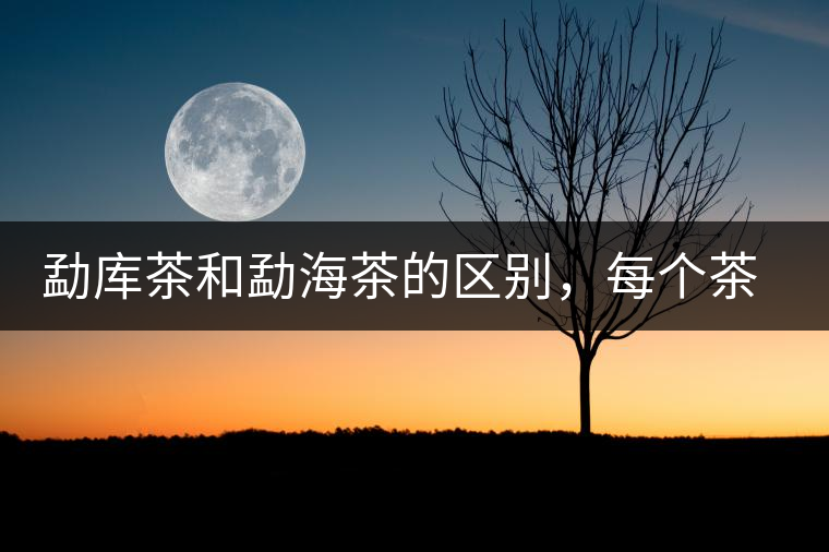 勐庫茶和勐海茶的區(qū)別，每個茶友都該了解的選茶常識！