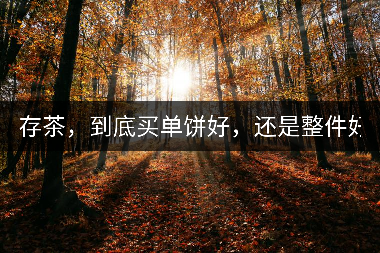 存茶，到底買單餅好，還是整件好？