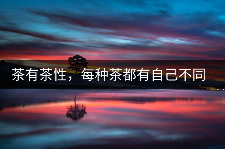 茶有茶性，每種茶都有自己不同的正確泡法