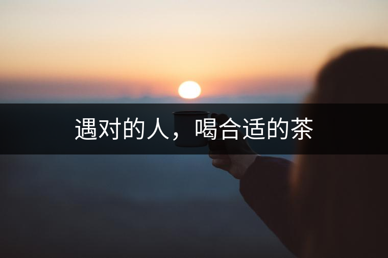 遇對的人，喝合適的茶