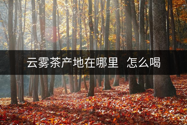 云霧茶產(chǎn)地在哪里   怎么喝
