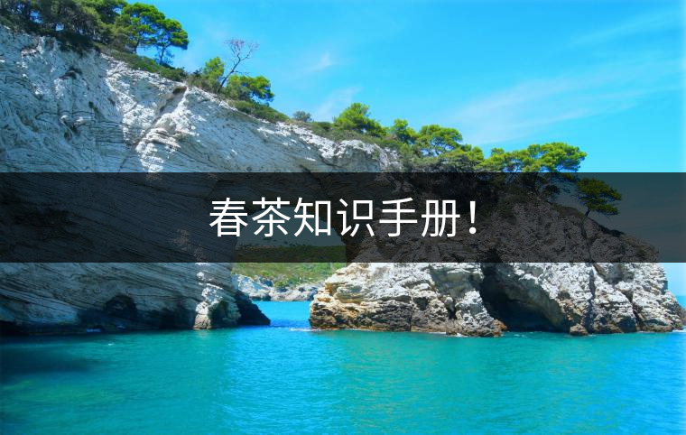 春茶知識(shí)手冊(cè)！