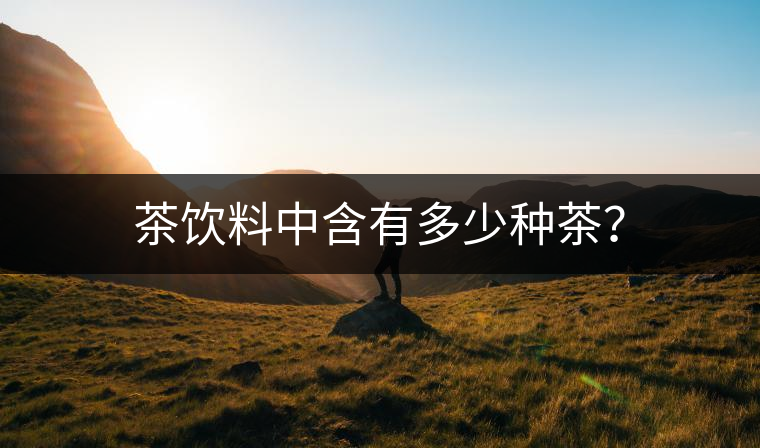 茶飲料中含有多少種茶？