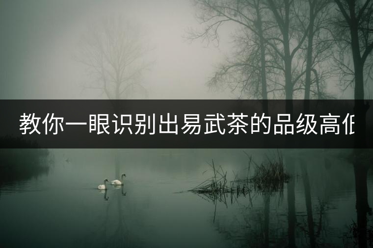 教你一眼識別出易武茶的品級高低！