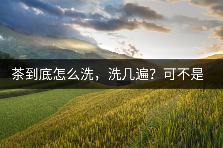 茶到底怎么洗，洗幾遍？可不是倒水進(jìn)去這么簡(jiǎn)單喲