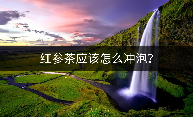 紅參茶應(yīng)該怎么沖泡？