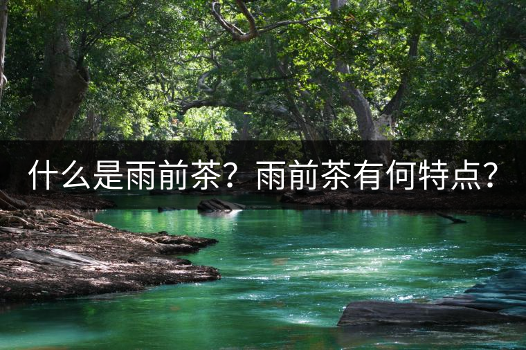 什么是雨前茶？雨前茶有何特點？