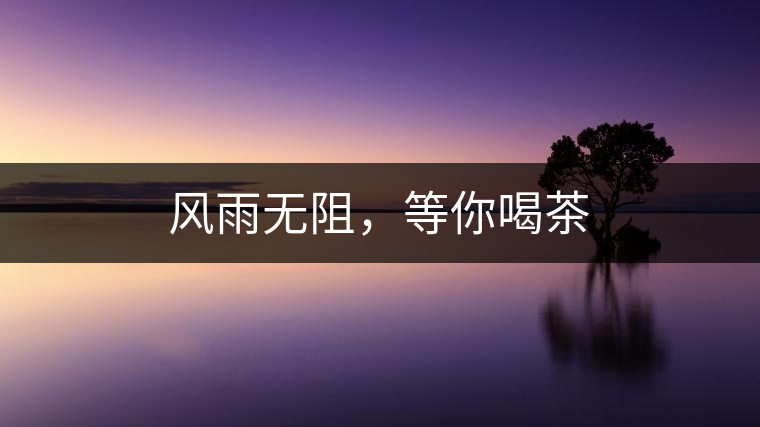 風雨無阻，等你喝茶