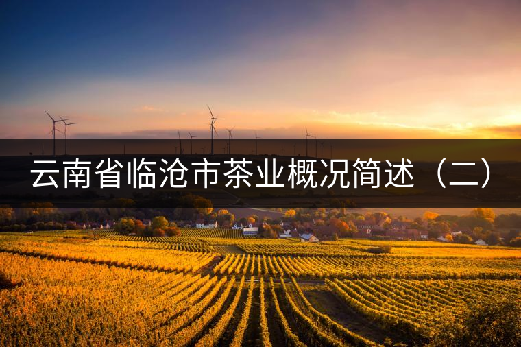 云南省臨滄市茶業(yè)概況簡(jiǎn)述（二）