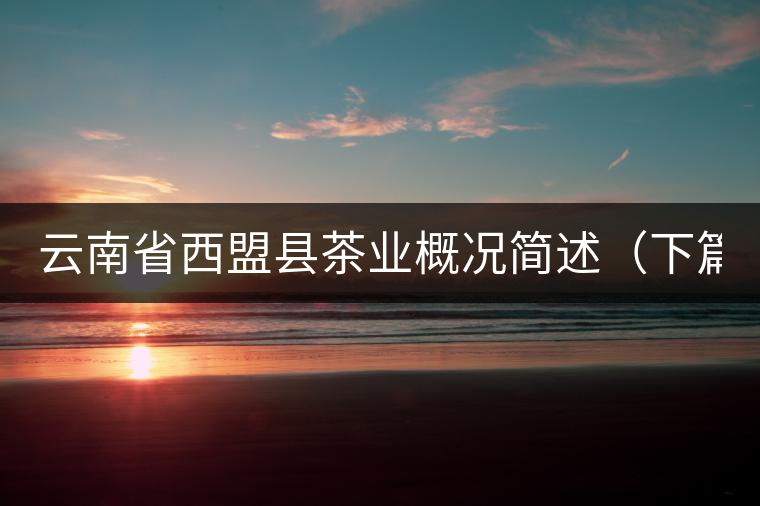 云南省西盟縣茶業(yè)概況簡(jiǎn)述（下篇）