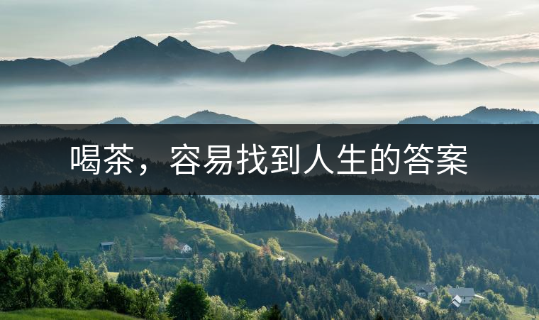 喝茶，容易找到人生的答案