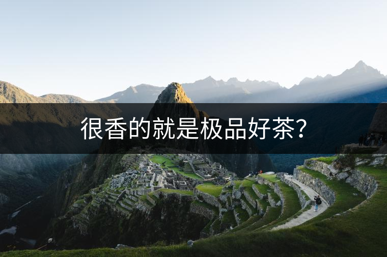 很香的就是極品好茶？