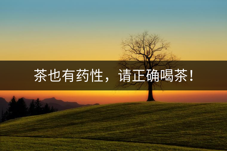 茶也有藥性，請正確喝茶！