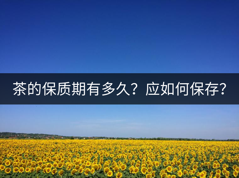茶的保質(zhì)期有多久？應(yīng)如何保存？