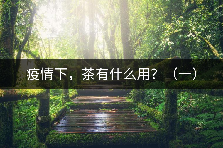 疫情下，茶有什么用？（一）