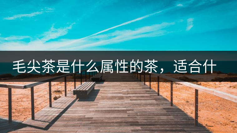 毛尖茶是什么屬性的茶，適合什么群體品飲？