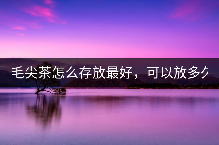 毛尖茶怎么存放最好，可以放多久？
