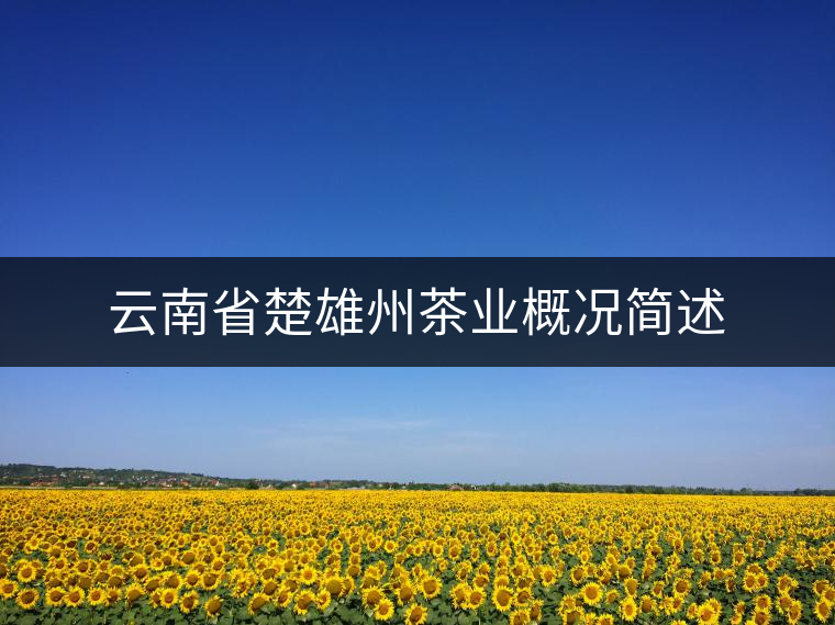 云南省楚雄州茶業(yè)概況簡(jiǎn)述