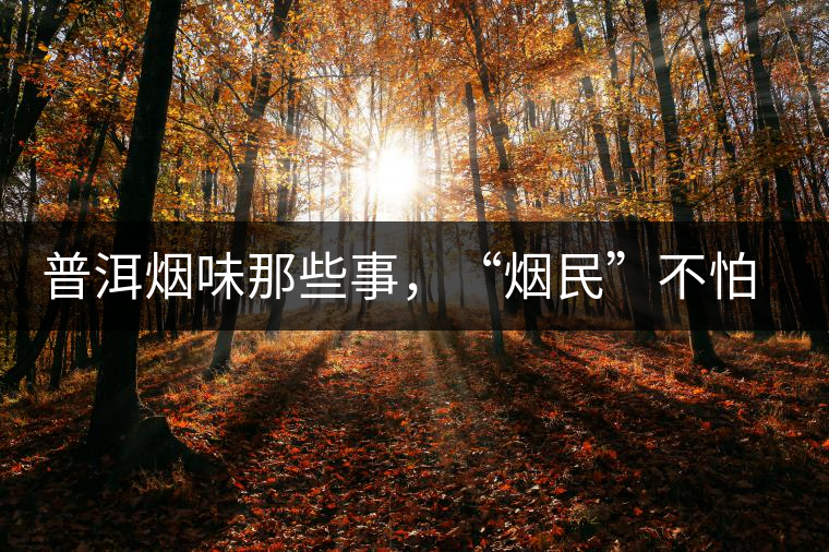 普洱煙味那些事，“煙民”不怕當(dāng)