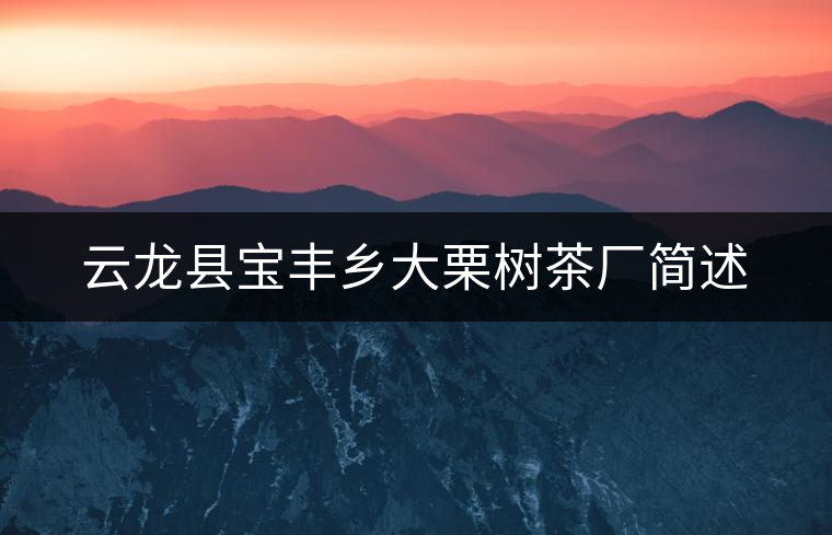 云龍縣寶豐鄉(xiāng)大栗樹茶廠簡述 云龍縣寶豐鄉(xiāng)大栗樹茶廠簡述