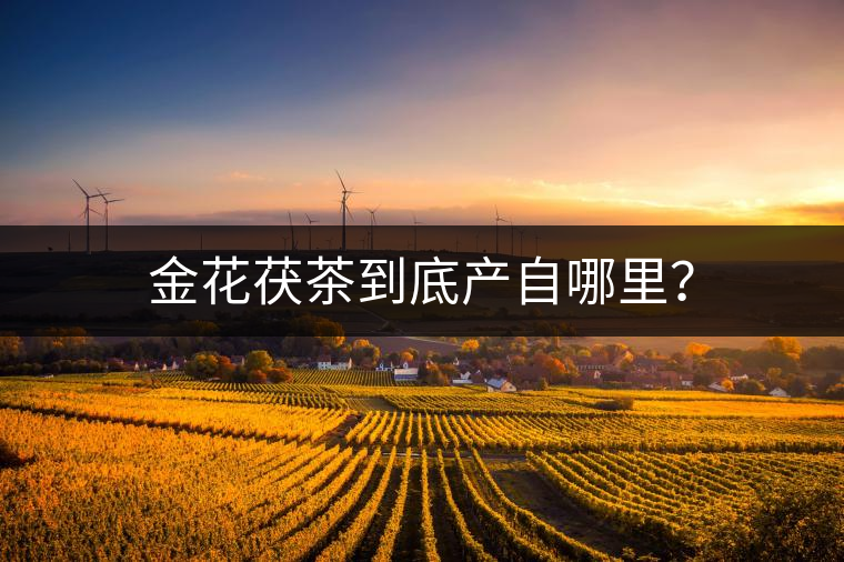 金花茯茶到底產(chǎn)自哪里？