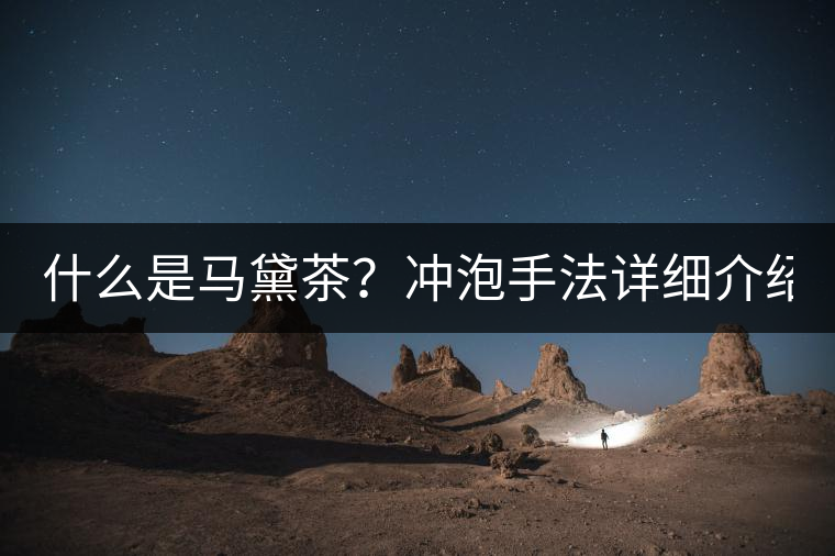 什么是馬黛茶？沖泡手法詳細(xì)介紹！