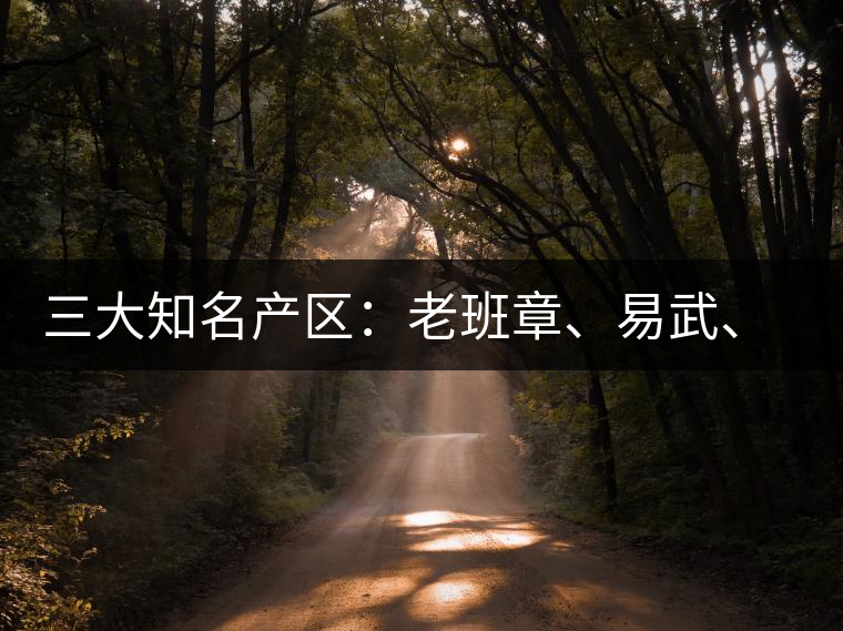 三大知名產(chǎn)區(qū)：老班章、易武、景邁三大茶系都有哪些特點(diǎn)！