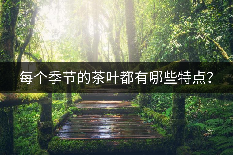每個季節(jié)的茶葉都有哪些特點？