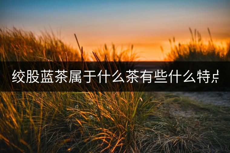 絞股藍(lán)茶屬于什么茶有些什么特點(diǎn)？