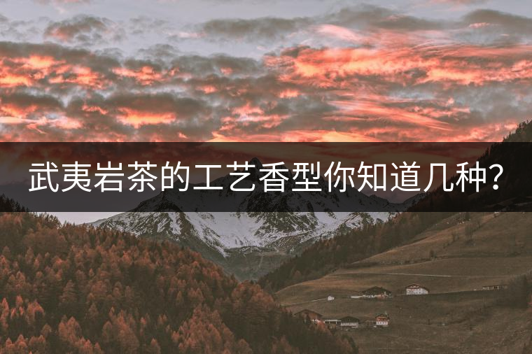 武夷巖茶的工藝香型你知道幾種？