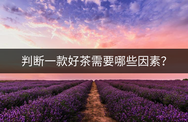 判斷一款好茶需要哪些因素？