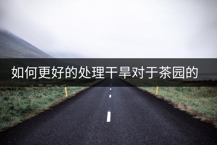 如何更好的處理干旱對(duì)于茶園的影響？