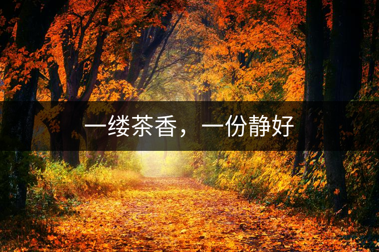 一縷茶香，一份靜好