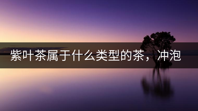 紫葉茶屬于什么類型的茶，沖泡需要注意什么？