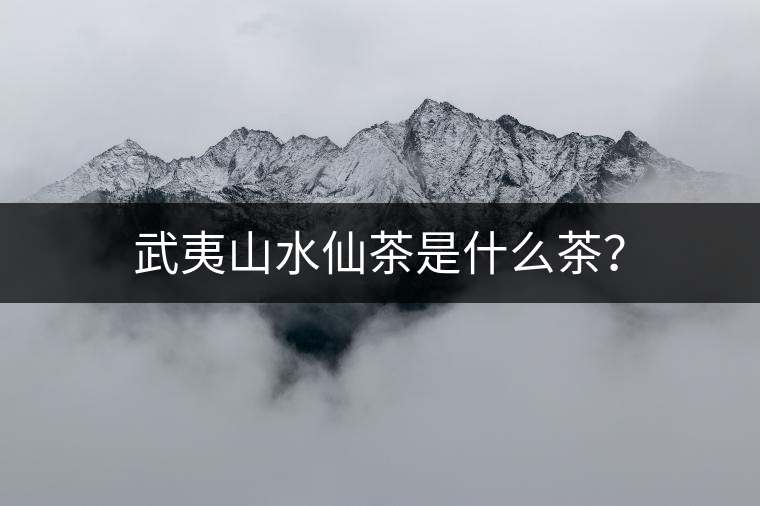 武夷山水仙茶是什么茶？