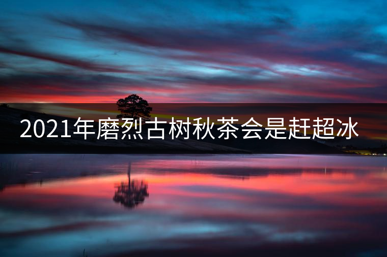 2021年磨烈古樹秋茶會是趕超冰島的存在嗎？