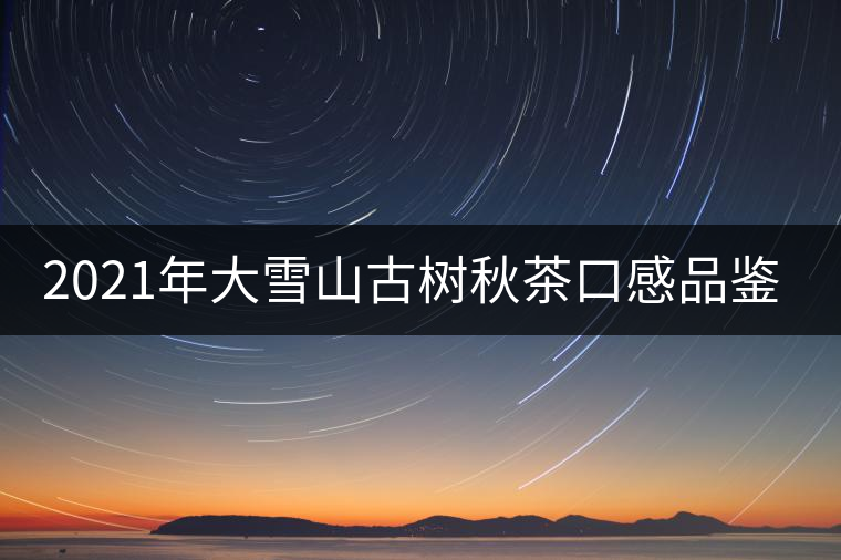 2021年大雪山古樹秋茶口感品鑒？
