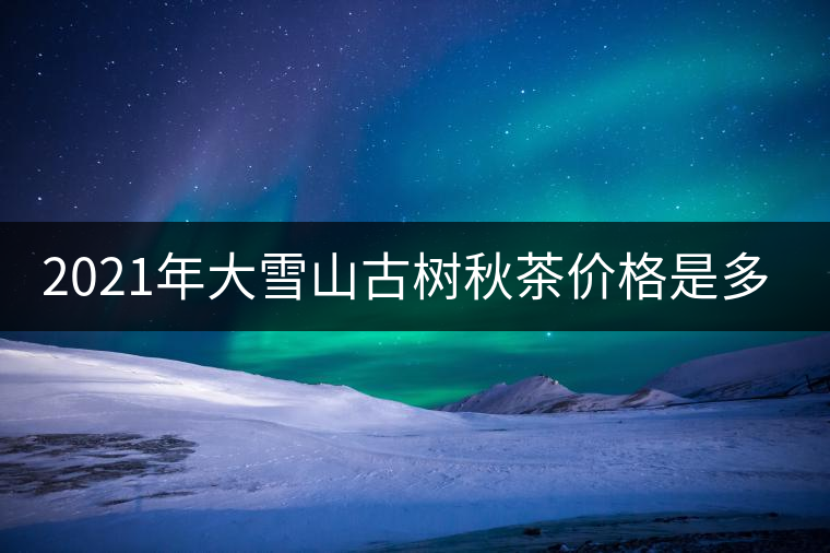 2021年大雪山古樹秋茶價(jià)格是多少？