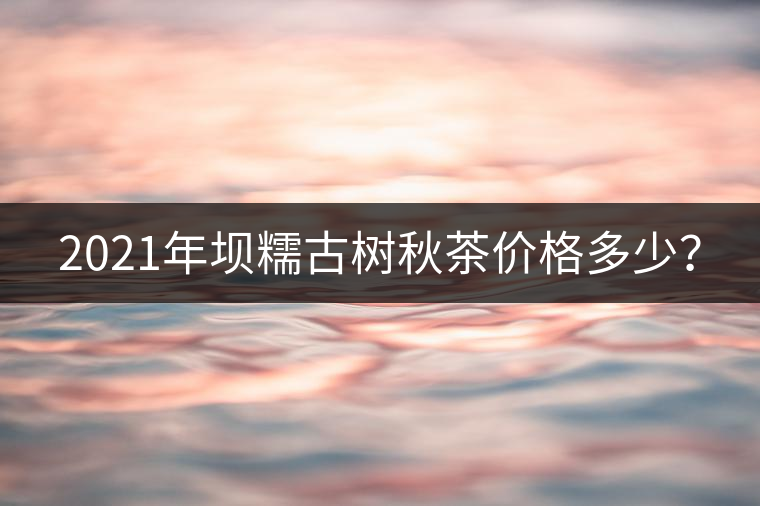 2021年壩糯古樹秋茶價格多少？