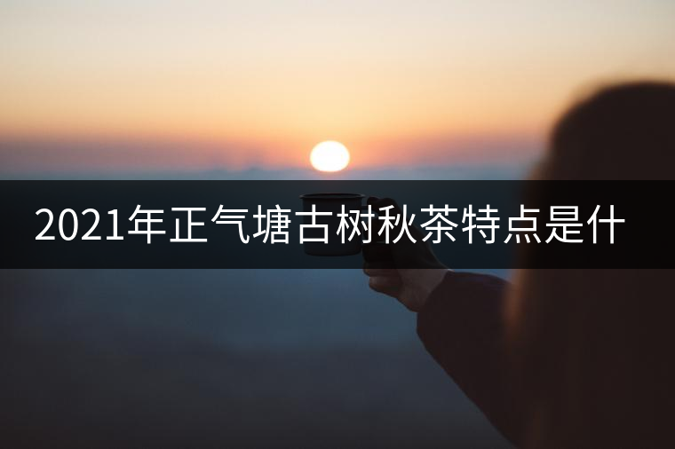 2021年正氣塘古樹秋茶特點(diǎn)是什么？