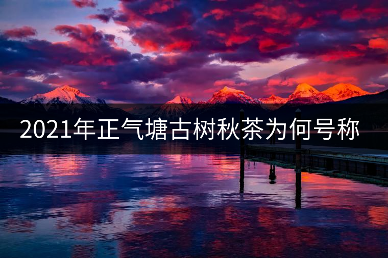 2021年正氣塘古樹(shù)秋茶為何號(hào)稱(chēng)小冰島？