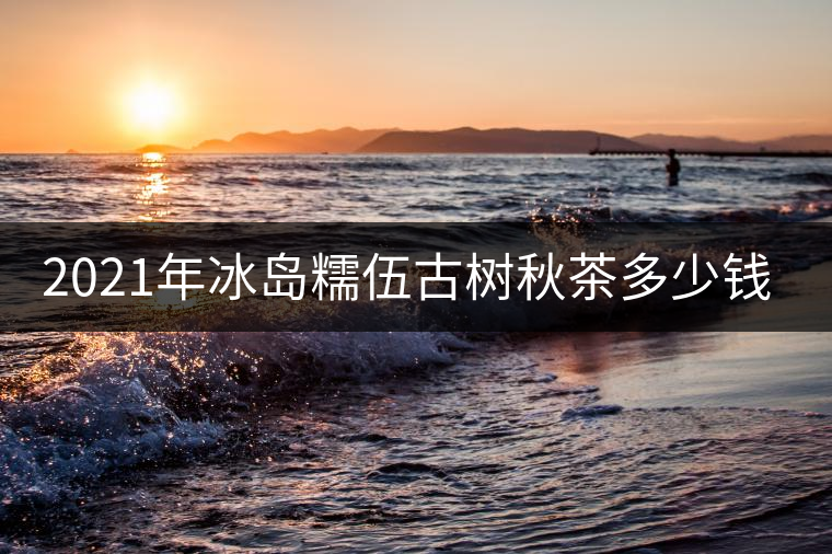 2021年冰島糯伍古樹(shù)秋茶多少錢一公斤？