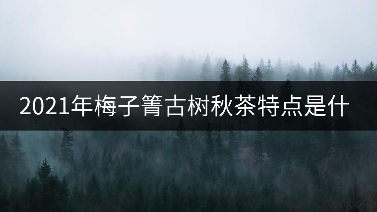 2021年梅子箐古樹(shù)秋茶特點(diǎn)是什么？