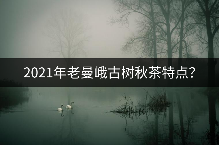 2021年老曼峨古樹秋茶特點(diǎn)？