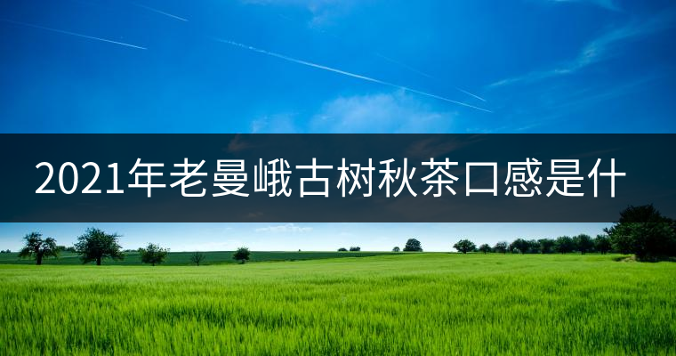 2021年老曼峨古樹秋茶口感是什么？