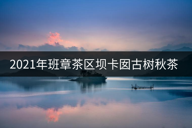 2021年班章茶區(qū)壩卡囡古樹(shù)秋茶口感？